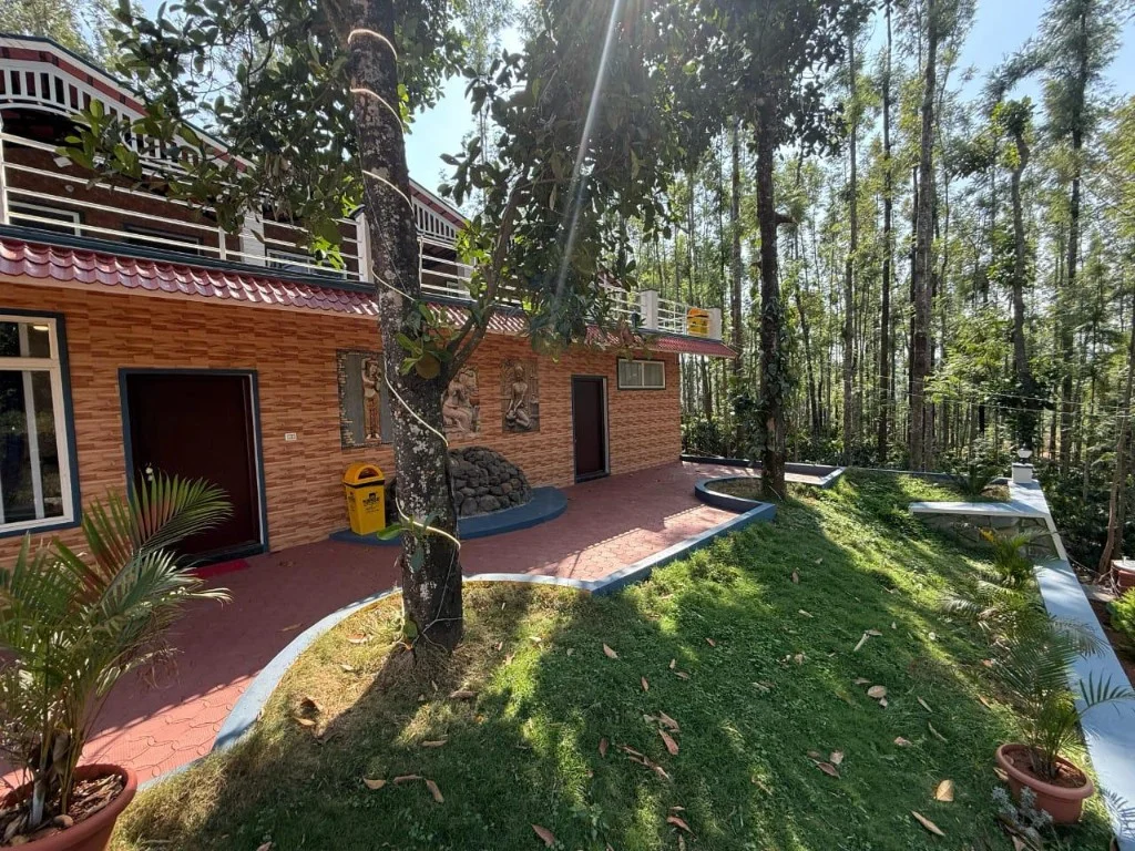 Resort P2 wood-pattern facade with lawn and fairy lights among tall trees