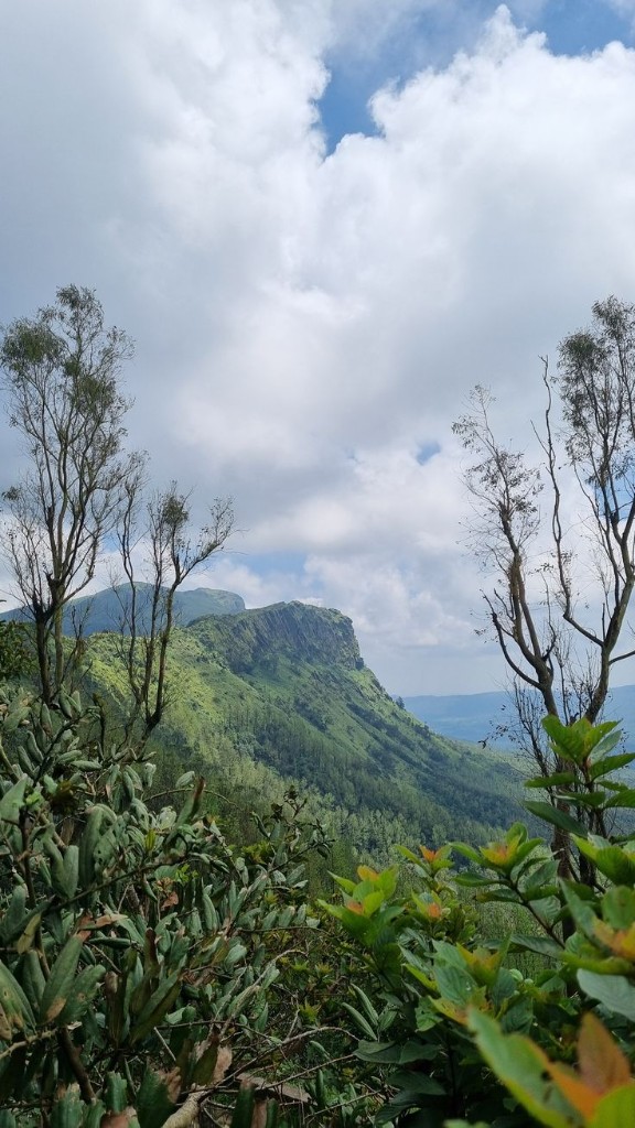 Lush green Chikmagalur hills and mountain ridge under cloudy sky in Karnataka