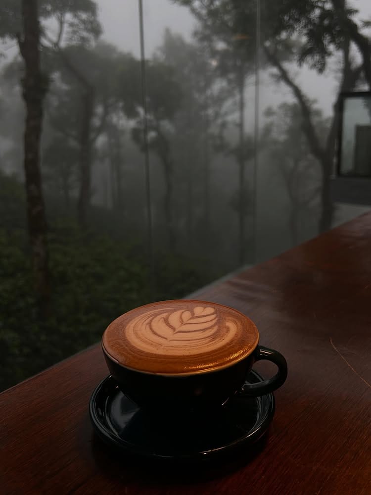 Latte art coffee cup overlooking misty coffee estate forest in Chikmagalur