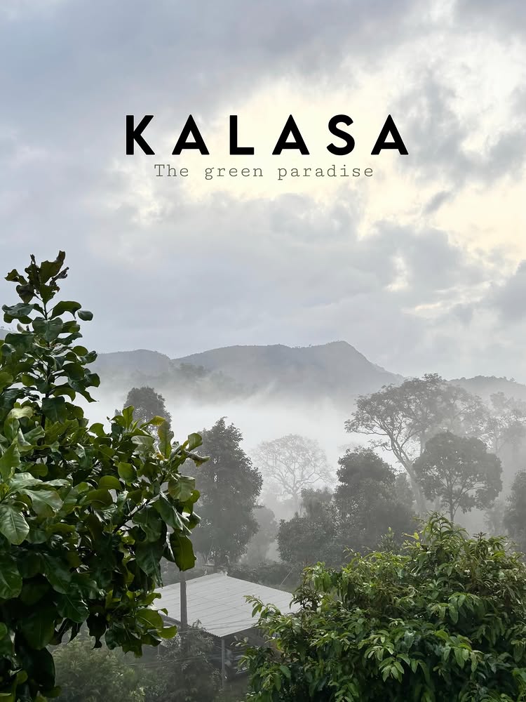 Kalasa green paradise — misty valley and forest views near Chikmagalur